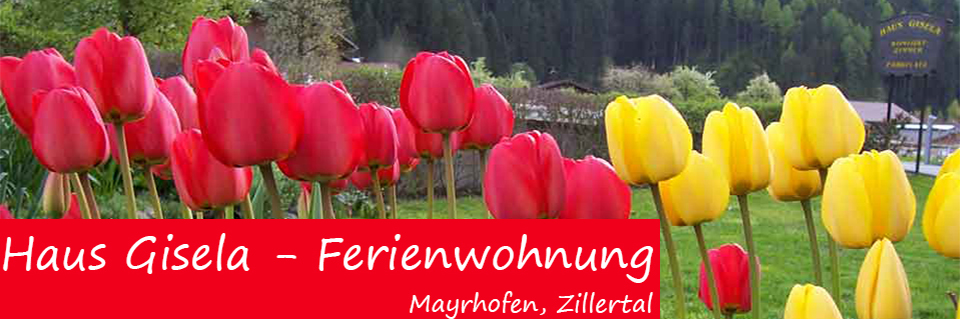 Logo Haus Gisela Ferienwohnung Mayrhofen Zillertal